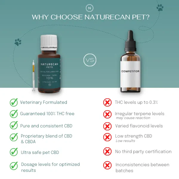 CBD Olie voor Honden - Image 10