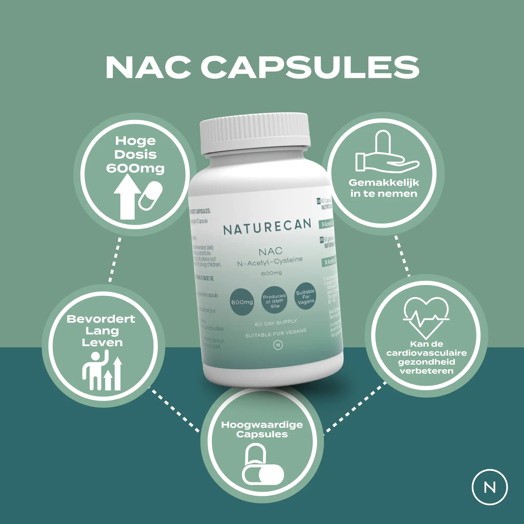NAC Supplement - Image 3