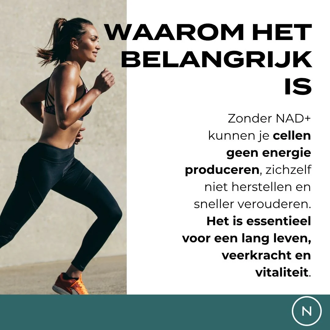 NAD Supplement (NR) - Image 5