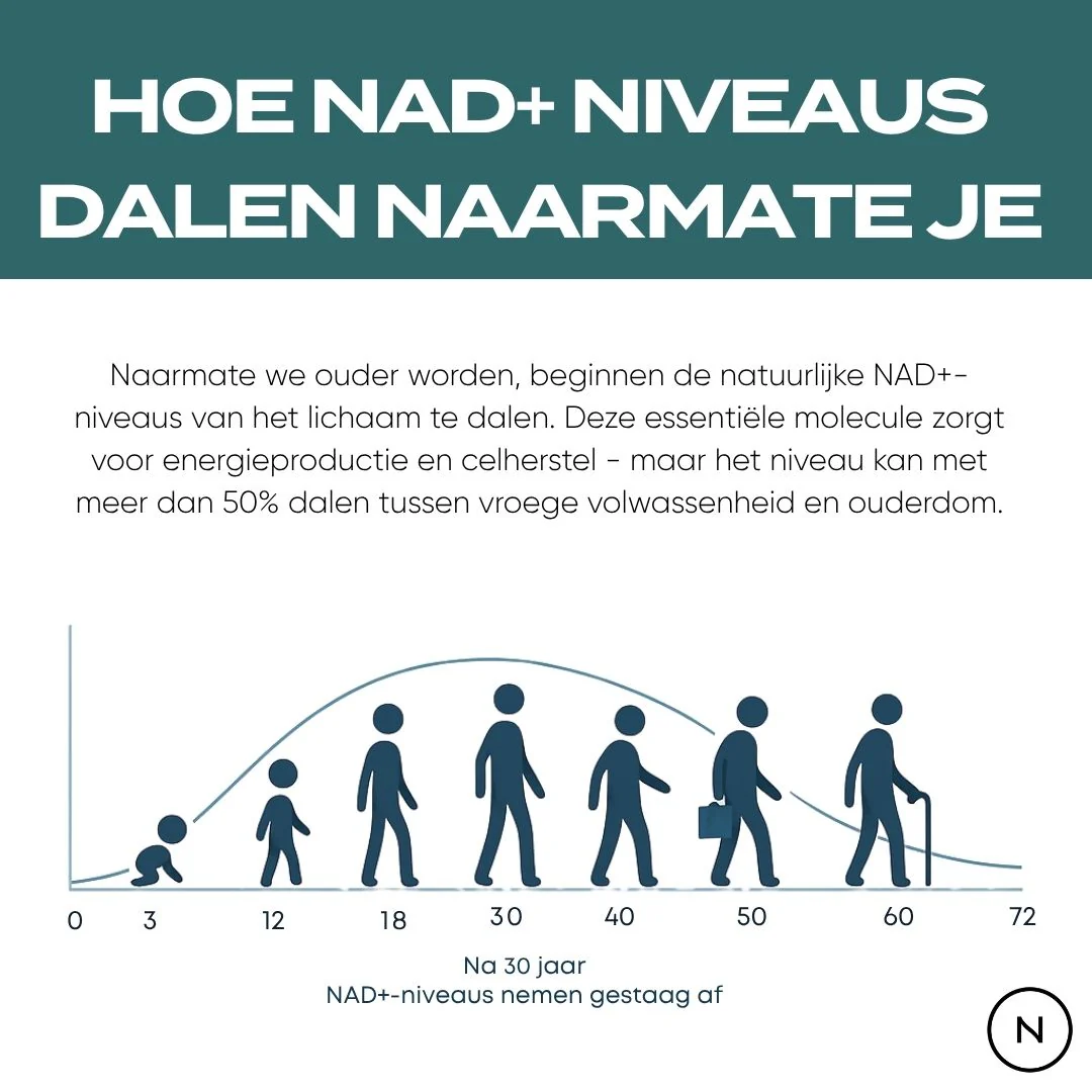 NAD Supplement (NR) - Image 6