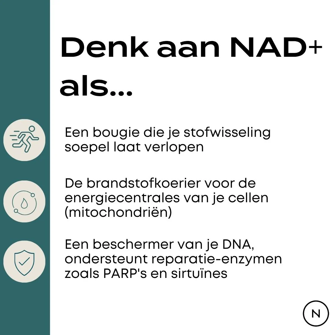 NAD Supplement (NR) - Image 7